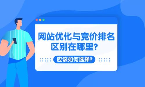 網(wǎng)站優(yōu)化與競(jìng)價(jià)排名的區(qū)別及選擇策略