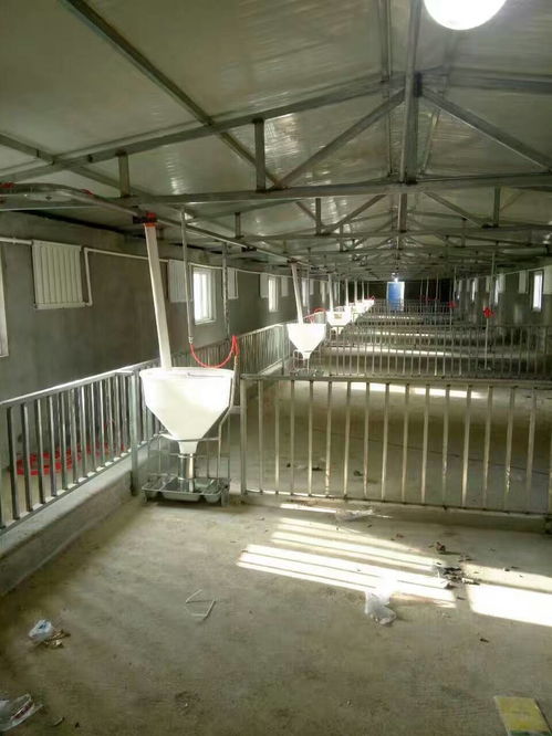 世昌畜牧2.1*6熱鍍鋅母豬限位欄 堅固耐用，保障養殖環境衛生